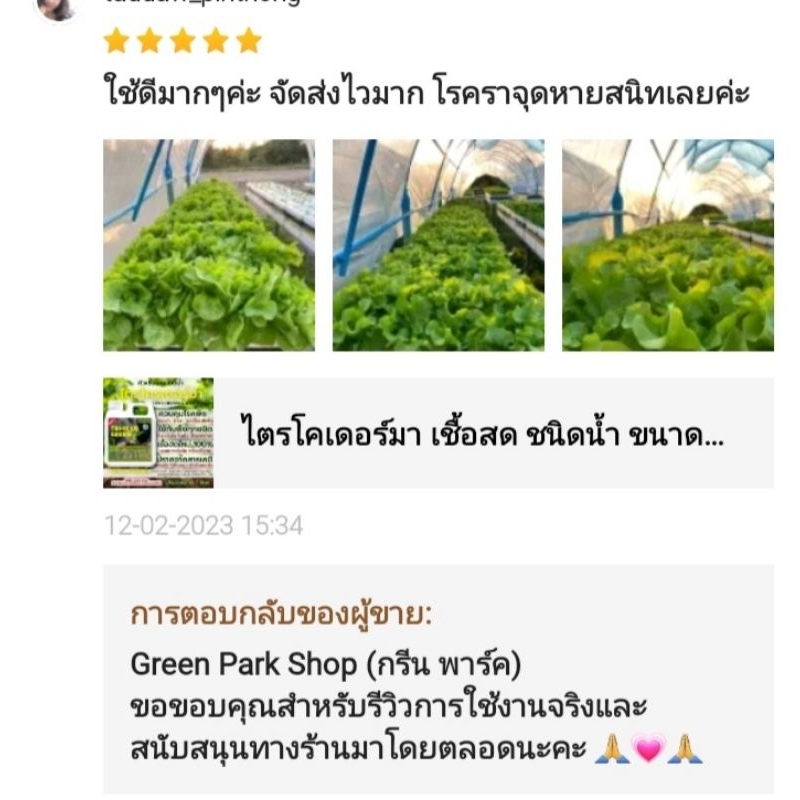 ไตรโคเดอร์มา เชื้อสด ชนิดน้ำ ขนาด 1 ลิตร กำจัดโรค เชื้อรา ราก โคนเน่า ใบหงิก ใบจุด ดิน ต้นไม้ Trichoderma green park รูปที่ 2