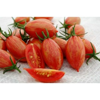 เมล็ดพันธุ์มะเขือเทศเชอร์รี่ พิงค์ ไทเกอร์ (Pink Tiger Cherry Tomato Seed) บรรจุ 15 เมล็ด ของแท้ คุณภาพดี ราคาถูก นำเข้า