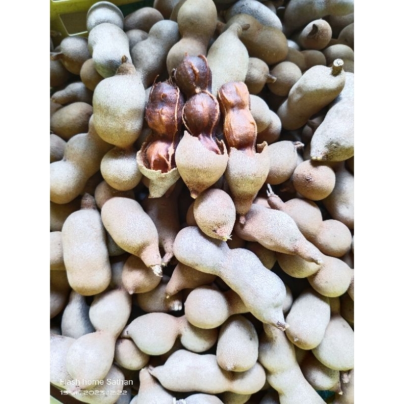 รูปภาพ 4