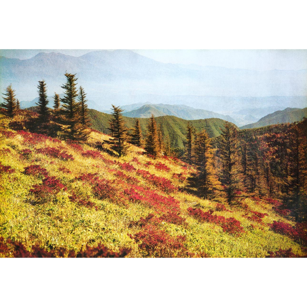 โปสเตอร์ รูปถ่าย ภูเขา ทุ่งหญ้า ดอกไม้ วิว ธรรมชาติ Landscapes Nature POSTER 21”x30” Inch Beautiful 