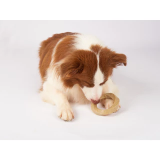 Fofos - Wooden Stix Dog Toy ของเล่นหมา ไม้ขัดฟัน แก้เครียด ทำจากไม้ ใช้กัด แทะ
