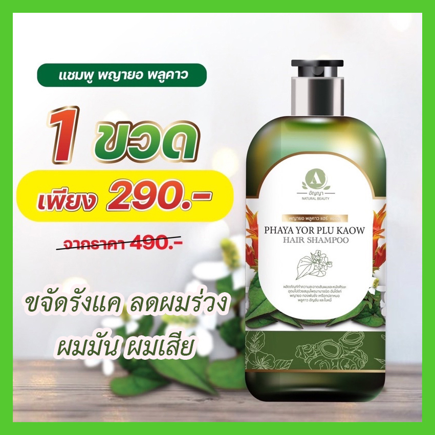 ยาสระผมขจัดรังแค ลดผมร่วง ผมมัน หนังศีรษะอักเสบ ลอก เป็นขุย เชื้อรา ผมเสีย ผมแตกปลาย ลดอาการคัน แชมพูอัญญา พญายอ พลูคาว!