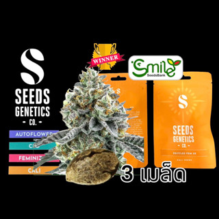 เมล็ดกัญชา Seeds Genetics - Zkittlez (Fem)