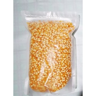 ข้าวโพดป๊อปคอร์น🌽พันธุ์เห็ด mushroom ป๊อบออกมาเป็นเม็ดกลมคะ …