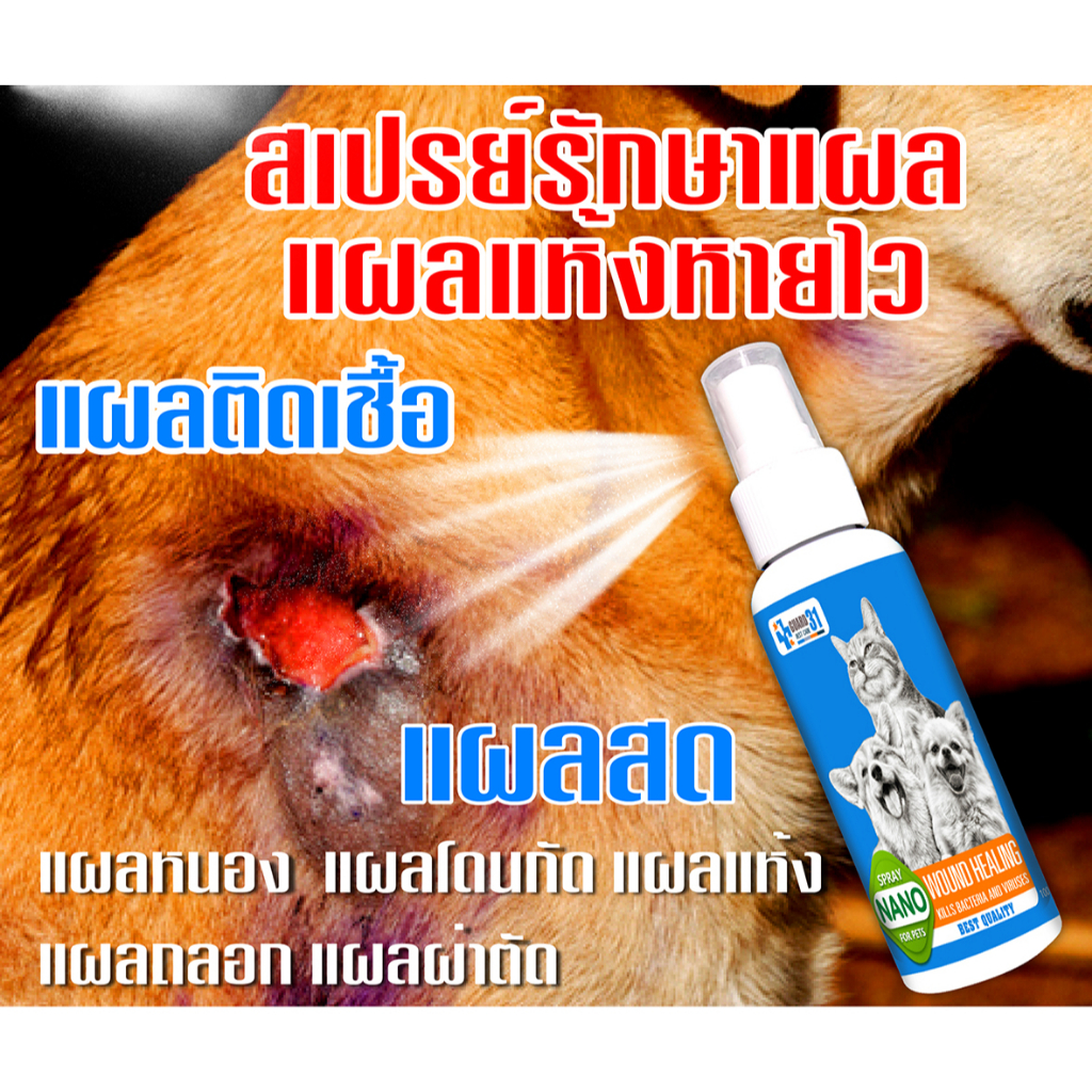 แผลสด แผลแห้ง แผลกัดกัน แผลอุบัติเหตุ แผลถลอก เห็บหมัดกัด 100 ml.