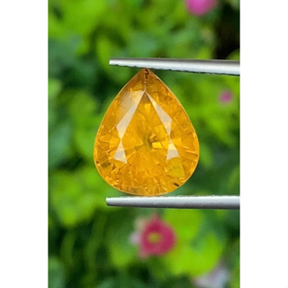 พลอย บุษราคัม Yellow Sapphire 8.04 กะรัต