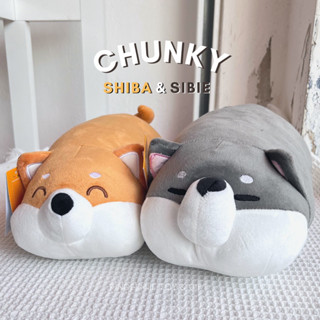 พร้อมส่ง | CHUNKY : Shiba &amp; Sibie🐶🦴| ตุ๊กตาหมาอ้วนนนน