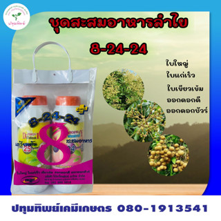 ชุดสะสมอาหารลำไย 8-24-24 เตรียมต้น สะสมอาหาร ช่วยให้ใบใหญ่ ใบแก่เร็ว เขียวเข้ม ออกดอกดี ออกดอกชัวร์