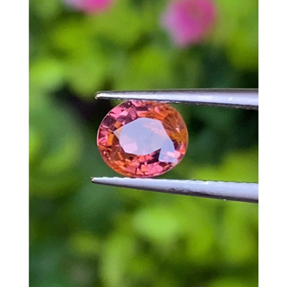 พลอย ชมพู พิ้ง แซฟไฟร์ Pink Sapphire 0.98 กะรัต (Cts.)