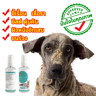 🐶🐱พร้อมส่ง สเปรย์รักษาขี้เรื้อนหมาแมว 100ml สเปรย์นาโนไคโตซานพลัส รักษาโรคผิวหนังทุกชนิด ขี้เรื้อน เชื้อรา ยีสต์ แผลสด