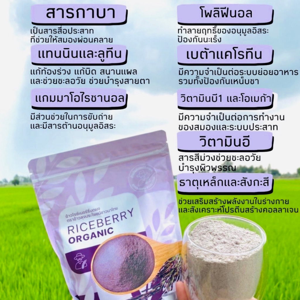 จมูกข้าวไรซ์เบอร์รี่ ตราข้าวลุงประโยชน์ชาวนาไทย - รูปที่ 2