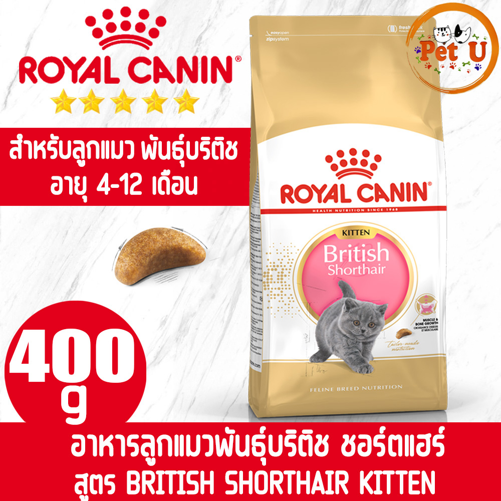 Royal Canin BRITISH SHORTHAIR KITTEN 400g อาหารลูกแมว พันธุ์บริติช ชอร์ตแฮร์ อายุ 4-12 เดือน ชนิดเม็ด
