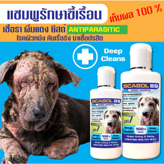 🟢(สินค้าขายดี)✅ แชมพูSCABOL(สูตรสำหรับสุนัข) ขี้เรื้อน เชื้อรา ยีตส์ ตุ่มคัน ผื่นแดง ผิวหนังอักเสบ