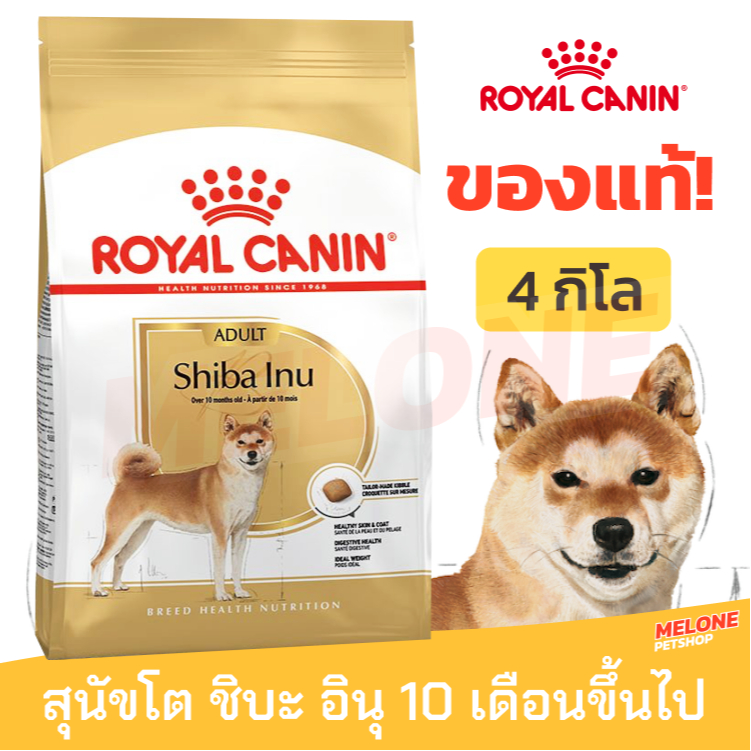 [ล็อตใหม่] Royal Canin Shiba Inu Adult รอยัลคานิน อาหารสุนัข รอยัลคานิน สุนัขโต พันธุ์ ชิบะ อินุ ชิบา 4kg