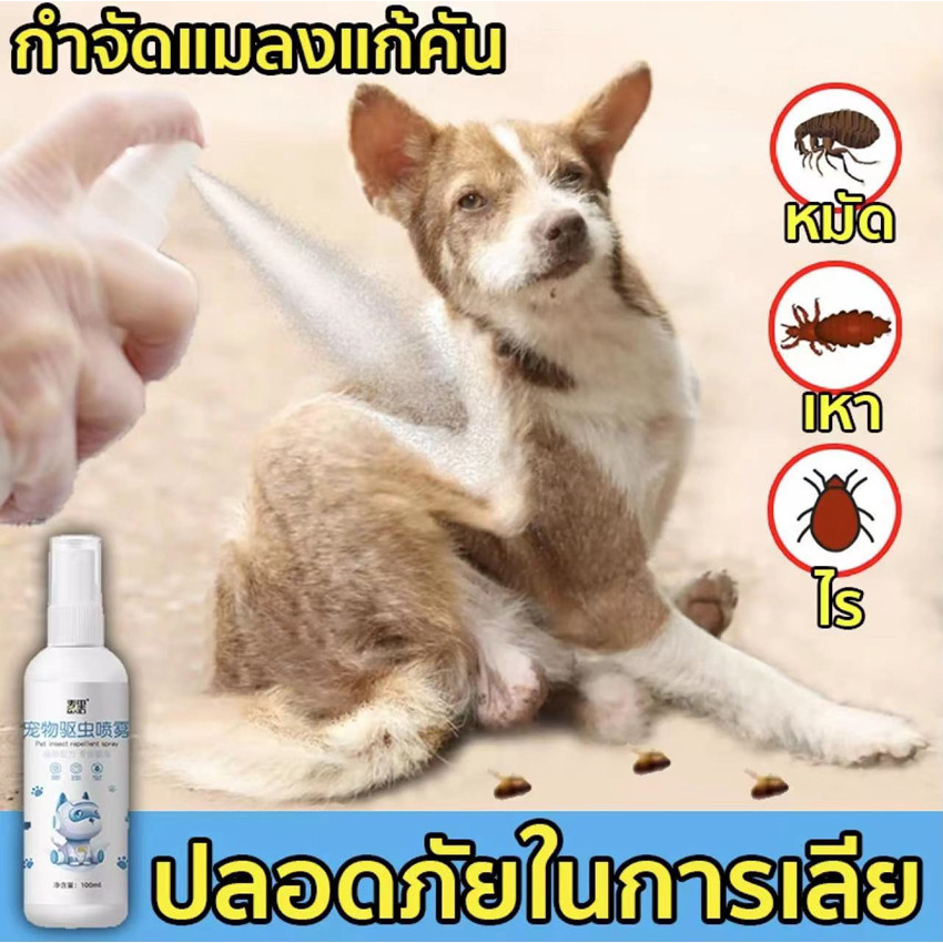 #สเปรย์กำจัดเห็บ
#กำจัดเห็บหมา
#กำจัดเห็บแมว
#สเปรย์กำจัดเห็บปลอดภัย
#สเปรย์ไล่เห็บไร้สารเคมี