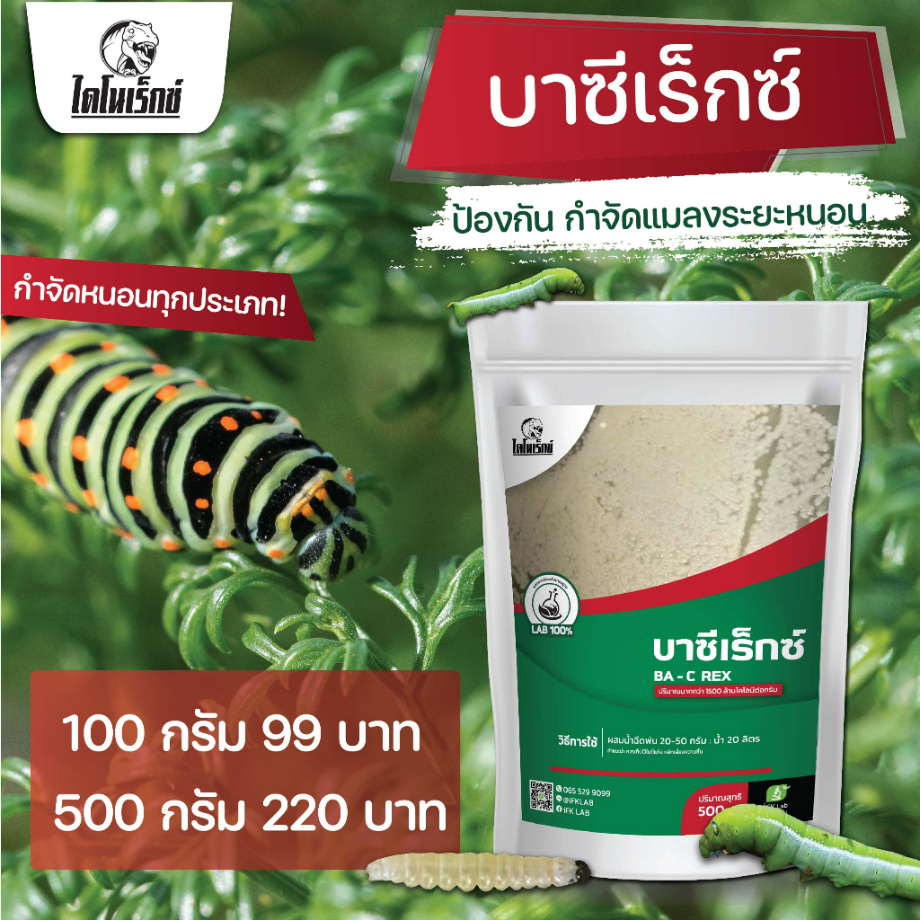 ยากำจัดหนอนทุกชนิด กำจัดหนอนกระทู้ หนอนบุ้ง หนอนชอนใบ หนอนใยผัก ใช้เชื้อบาซิลัส ทูริงเยนซิส (บาซีเร็กซ์) ปลอดภัย 100%