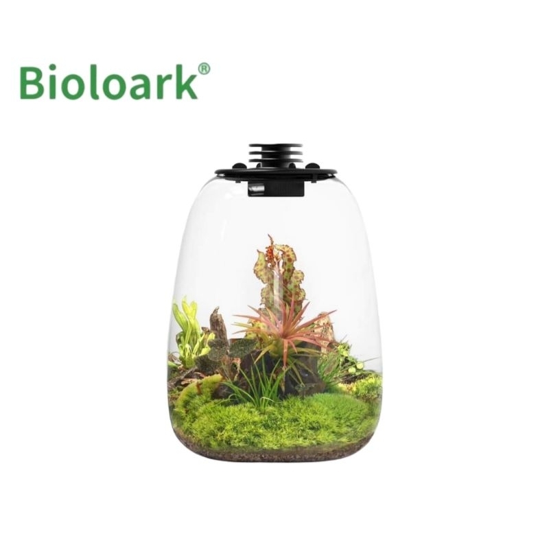 Bioloark terrarium (Bio Bottle LED QD) รูปทรงหยดน้ำ เทอร์ราเรียม สวนขวด ตู้ไม้ชื้น