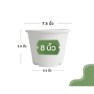 กระถางต้นไม้ 8 นิ้ว กระถางพลาสติก กระถางต้นไม้พลาสติก สีดำเงา สีขาว สีอิฐ (รุ่นหนา)