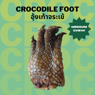 อุ้งเท้าเข้ ขนมหมาแมว ขนมแทะแก้เบื่อ ขัดฟัน เจ้าแรกในไทย Bellas Bites Crocodile Foot Chew for Dogs and Cats S/M/L