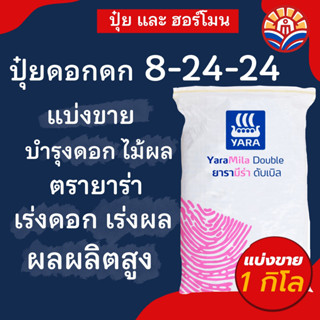 ส่งไว! ปุ๋ย ยาร่ามีร่า 8-24-24 ขนาด แบ่งขาย 1 กิโล สูตรดอกดก เร่งเน้น ต้น ใบ ราก บำรุงดอก ผลดก น้ำตาล ความหวาน