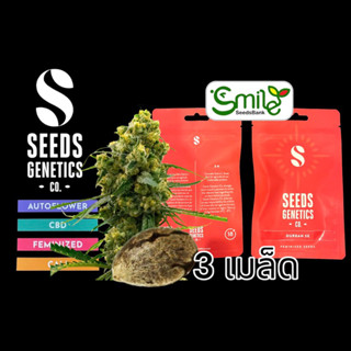 เมล็ดกัญชา Seeds Genetics - Durban (Fem)