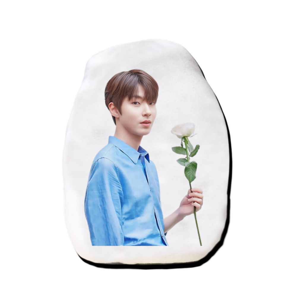 หมอนตุ๊กตาไดคัท รูปคน สั่งทำ ไอดอล ดารา น้กร้อง สินค้าแฟนเมด เกาหลี ฮวังอินยอบ Hwang In Yeop