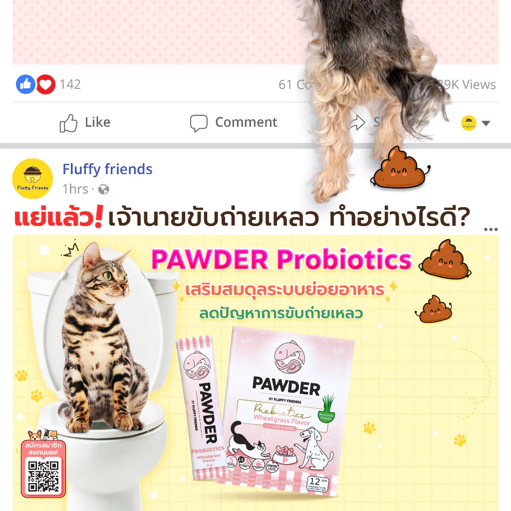 Pawder Probiotics อาหารเสริมโพรไบโอติกส์ ผสมสารสกัดต้นข้าวสาลีอ่อน สำหรับสุนัขและแมว ผลิตและนำเข้าจากไต้หวัน thumbnail 4