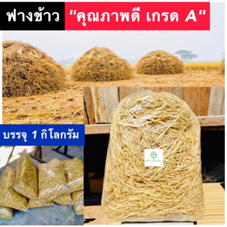 ฟาง ฟางข้าว 1 กิโลกรัม (ล็อตใหม่ ปี 2566) ไม่ชื้น ไม่รา