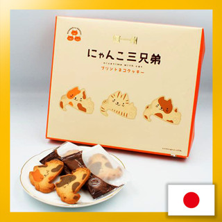 Shinshu Nyanko 3 brothers 12 pieces gifts, souvenirs, popular products, celebrations, sweets, gifts in return, housewarmings, assortments (Shinshu Nagano souvenir sweets Western confectionery print cat cookie)【Direct from Japan】(Made in Japan)