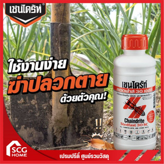 เชลล์ไดร์ท ชนิดลาด 500CC สเตดฟาส 30 เอสซี ยาฆ่าแมลง ยากำจัดแมลง ปลวก CHAINDRITE แบบลาด