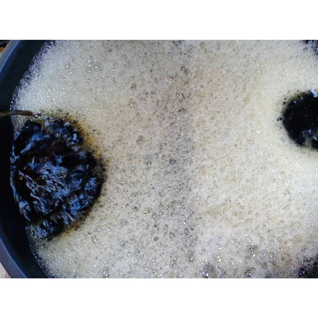 📌🌿น้ำหมักใบหูกวาง(500 ml) *สูตรไม่ผสมเกลือ สำหรับปลา กุ้ง ฯลฯ - รูปที่ 2