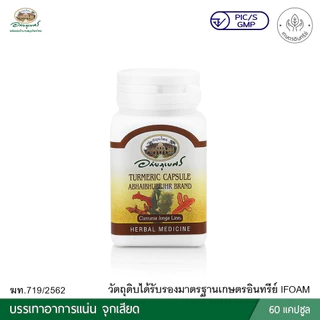 ขมิ้นชัน อภัยภูเบศร ขนาด 60 แคปซูล Turmeric 60 Capsules