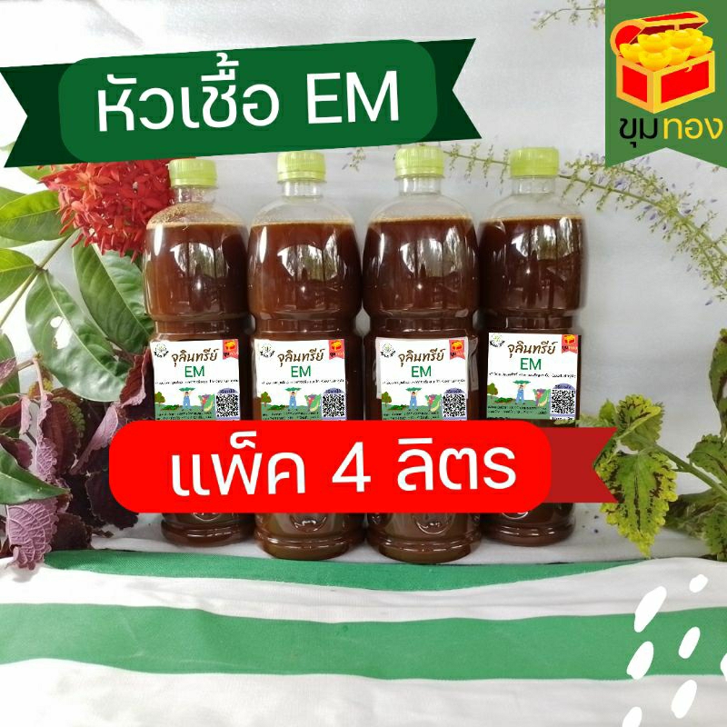 หัวเชื่อEM เข้มข้นแท้100%   แพ็ค 4 ลิตร หัวเชื้อจุลินทรีย์ชีวภาพอีเอ็ม บำบัดน้ำเสีย ป้องกันโรคพืช ดับกลิ่นโถสุขภัณฑ์
