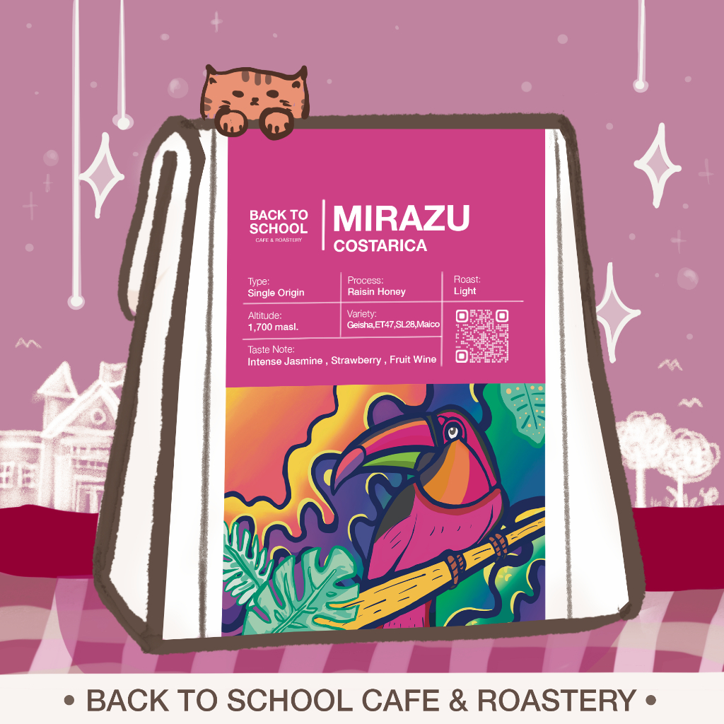 เมล็ดกาแฟคั่ว Costarica Mirazu (raisin honey) - Light Roast