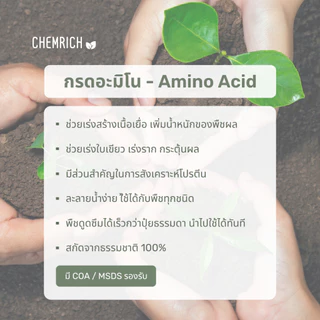 500G/1KG กรดอะมิโน อะมิโนรวม อะมิโนพืช เร่งสร้างเนื้อเยื่อ เพิ่มน้ำหนักผล ลดการคายน้ำ อะมิโน / Amino acid - Chemrich