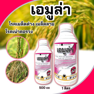 🌾เอมูร่า เมล็ดด่าง เมล็ดลายข้าว ขนาด 1000,500🌾