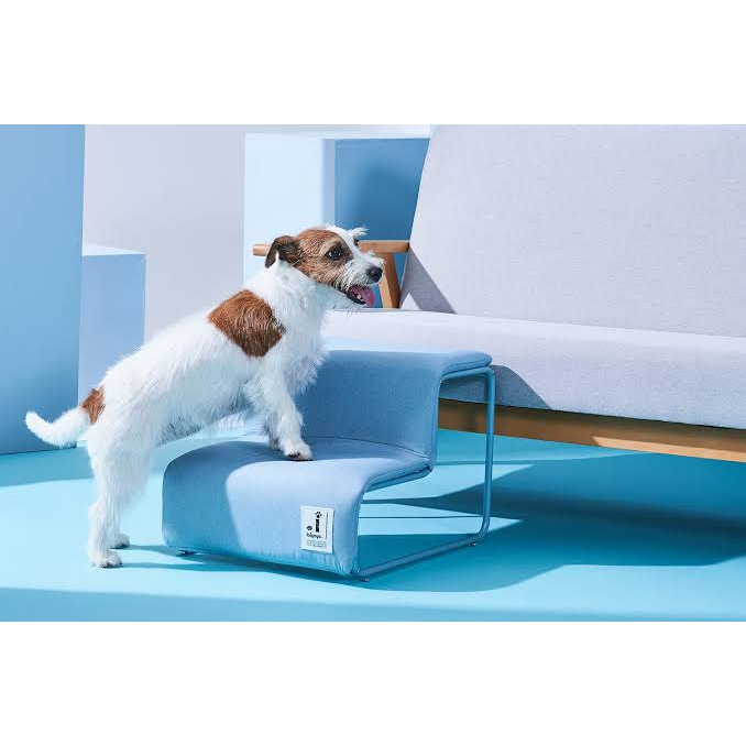 Ibiyaya  บันไดสำหรับสัตว์เลี้ยง สีฟ้า