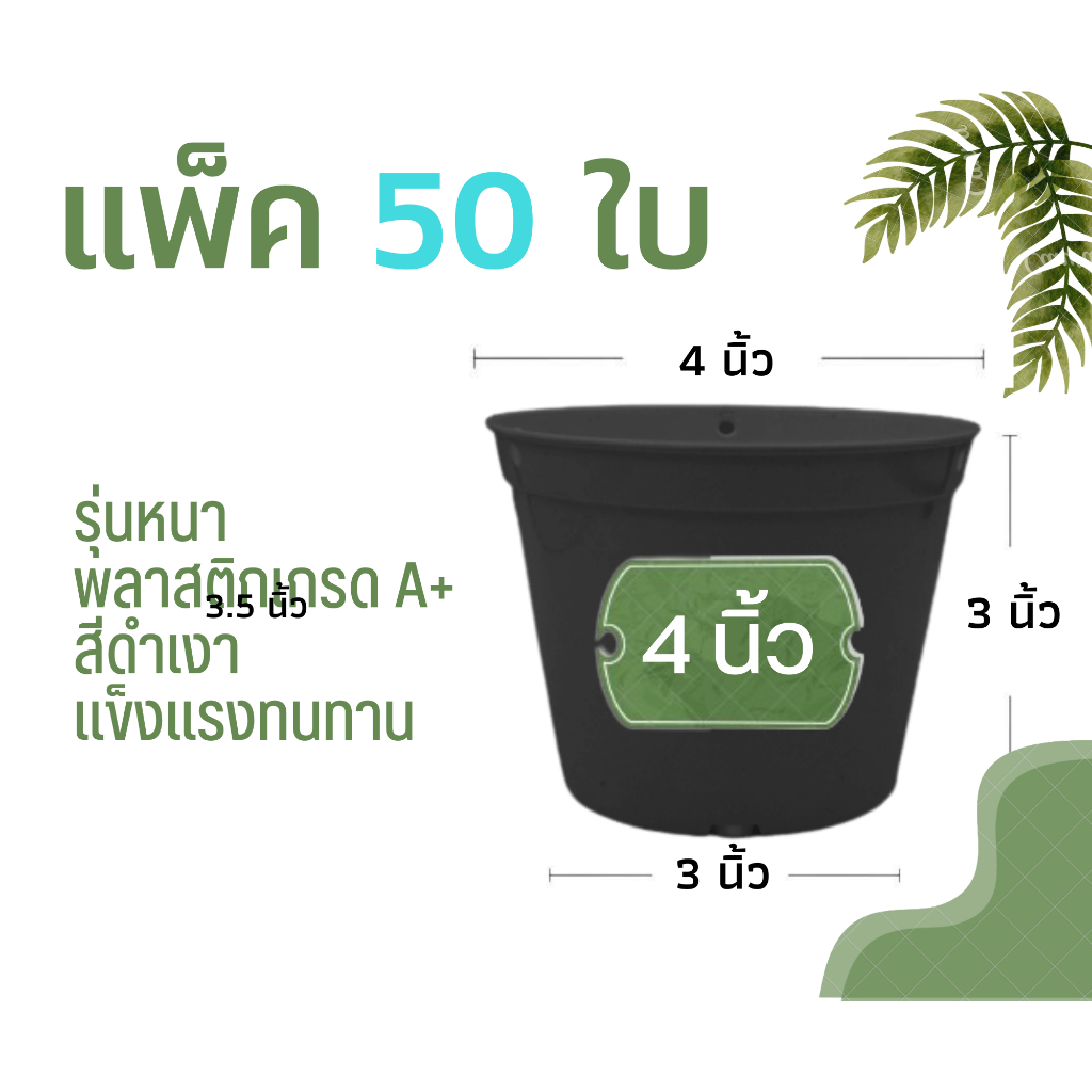 กระถางต้นไม้ 4 นิ้ว แพ็ค 50 ใบ กระถางพลาสติก กระถาง สีดำเงา (รุ่นหนา)