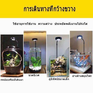 เต็มสเปกตรัม LED Light 10W USB ขับเคลื่อน เหมาะกับถังพิพิธภัณฑ์สัตว์น้ํา, ถังปลา Betta, พืชกระถาง, ภูมิทัศน์ขนาดเล็ก