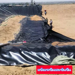 【500 ไมครอน】พลาสติกปูบ่อ ผ้ายางปูบ่อ สีดำ หนา500ไมครอน ผ้าใบบ่อปลา HDPE ทนทาน50ปี