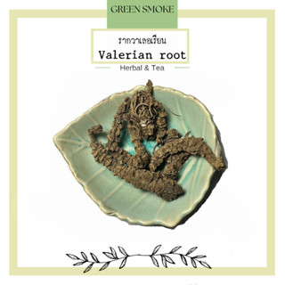 Valerian Root รากวาเลเรียน