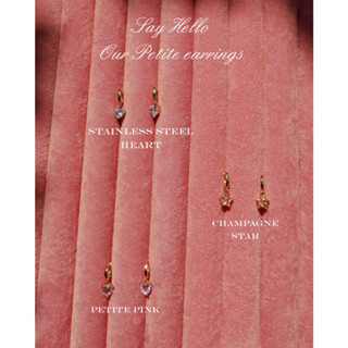 Valleydarley - ต่างหูห่วง Petite 14k Gold plated earrings