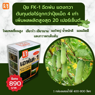 ปุ๋ย FK-1 ฉีดพ่น แตงกวา ผลใหญ่ ดกเต็มต้น น้ำหนักดี ต้นทุนต่อไร่ถูกกว่าปุ๋ยเม็ด 4 เท่า เพิ่มผลผลิตสูงสุด 20 เปอร์เซ็นต์