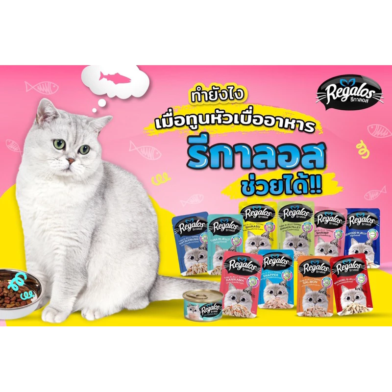 regalos รีกาล้อส อาหารแมว ปลาซอง ขนาด 70กรัม ราคา 1 ห่อ 16 บาท สินค้าใหม่ๆทุกสัปดาห์‼️ thumbnail 4