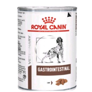 6กป.Royal Canin Gastro Intestinal Dog 400 กรัมสุนัขท้องเสีย