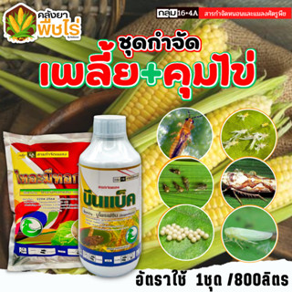 🌽 ชุดกำจัดเพลี้ย คุมไข่ บีนแบ็ค+ไทอะมีทอกแซม (บูโพรเฟซิน+ไทอะมีทอกแซม) 1ลิตร+1กิโลกรัม คุมไข่ กำจัดเพลี้ยไฟ เพลี้ยแป้ง