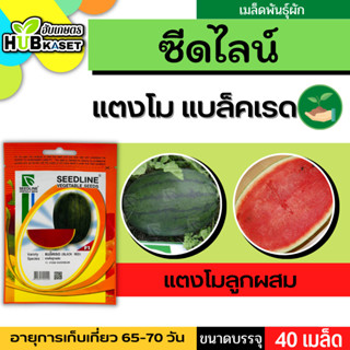 ซีดไลน์ 🇹🇭 แตงโมลูกผสม แบล็คเรด ขนาดบรรจุประมาณ 40 เมล็ด อายุเก็บเกี่ยว 65-75 วัน