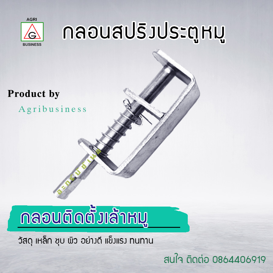 กลอนประตูหมูแบบสปริงสแตนเลส ตัวล๊อคกรง แบบสำเร็จรูป ราคาถูก