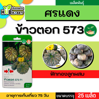 ศรแดง 🇹🇭 ฟักทองลูกผสม ข้าวตอก 573 F1 ขนาดบรรจุประมาณ 25 เมล็ด อายุเก็บเกี่ยว 75 วัน