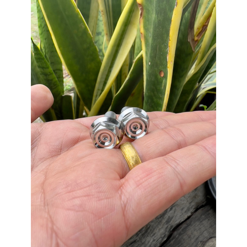 รูปภาพ 2